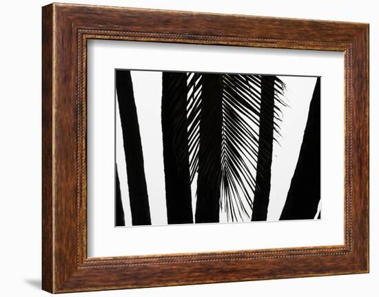 Hawaii-Art Wolfe-Framed Photographic Print