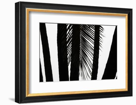 Hawaii-Art Wolfe-Framed Photographic Print