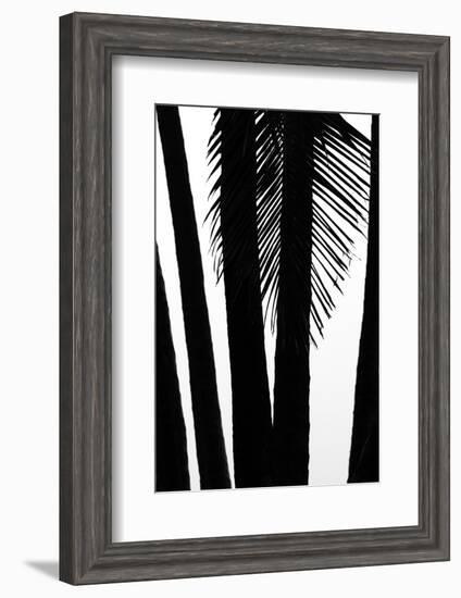 Hawaii-Art Wolfe-Framed Photographic Print