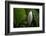 Hawaii-Art Wolfe-Framed Photographic Print