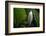 Hawaii-Art Wolfe-Framed Photographic Print