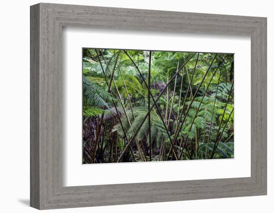 Hawaii-Art Wolfe-Framed Photographic Print