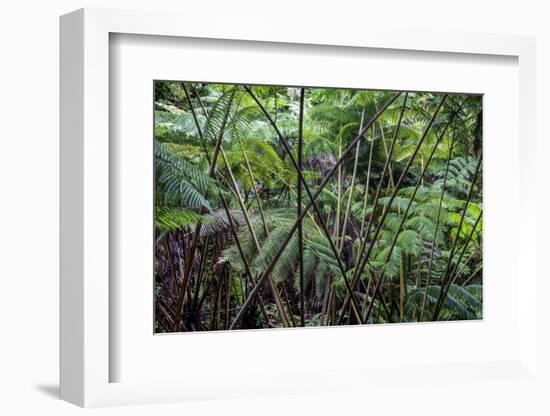 Hawaii-Art Wolfe-Framed Photographic Print