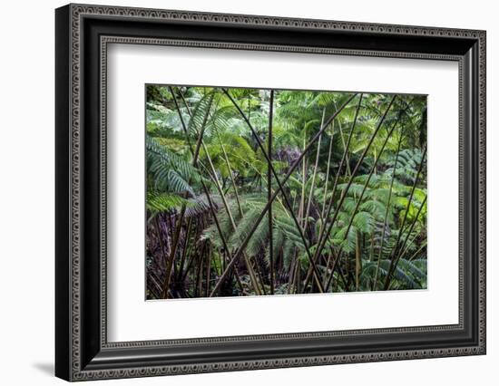 Hawaii-Art Wolfe-Framed Photographic Print