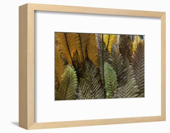 Hawaii-Art Wolfe-Framed Photographic Print