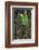 Hawaii-Art Wolfe-Framed Photographic Print