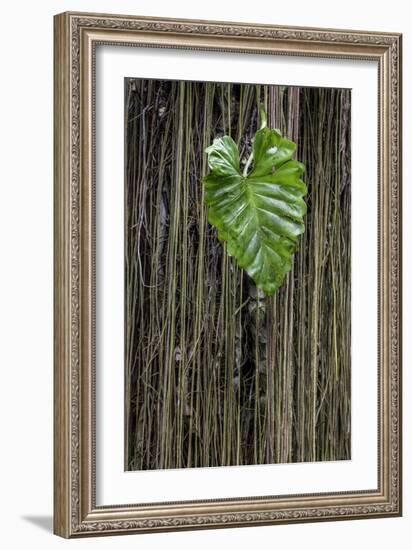 Hawaii-Art Wolfe-Framed Premium Photographic Print