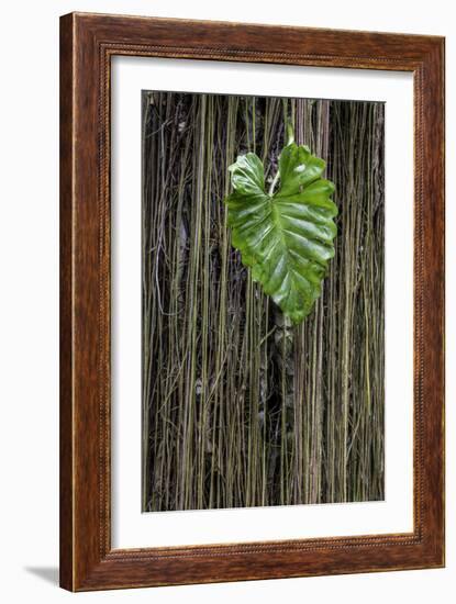 Hawaii-Art Wolfe-Framed Premium Photographic Print