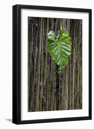 Hawaii-Art Wolfe-Framed Premium Photographic Print