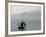 Hawaiian Chieftan, Tallship Saling on the San Francisco Bay, c.2007-Eric Risberg-Framed Photographic Print