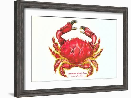 Hawaiian Crab-null-Framed Art Print