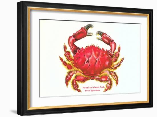 Hawaiian Crab-null-Framed Art Print