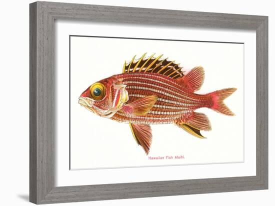 Hawaiian Fish, Alaihi-null-Framed Art Print