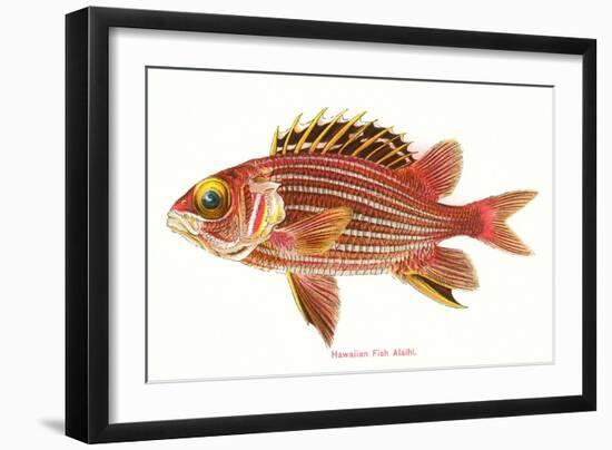 Hawaiian Fish, Alaihi-null-Framed Art Print