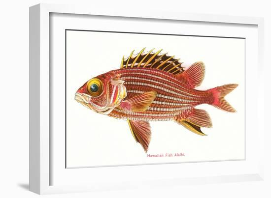 Hawaiian Fish, Alaihi-null-Framed Art Print