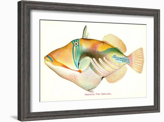 Hawaiian Fish, Nakunuku-null-Framed Art Print