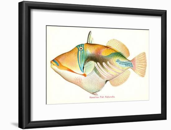 Hawaiian Fish, Nakunuku-null-Framed Art Print
