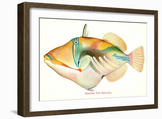 Hawaiian Fish, Nakunuku-null-Framed Art Print