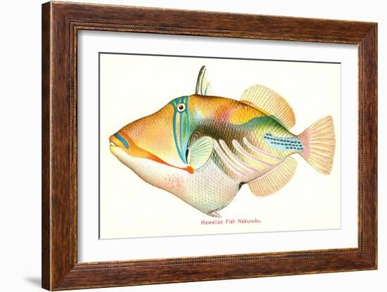 Hawaiian Fish, Nakunuku-null-Framed Art Print