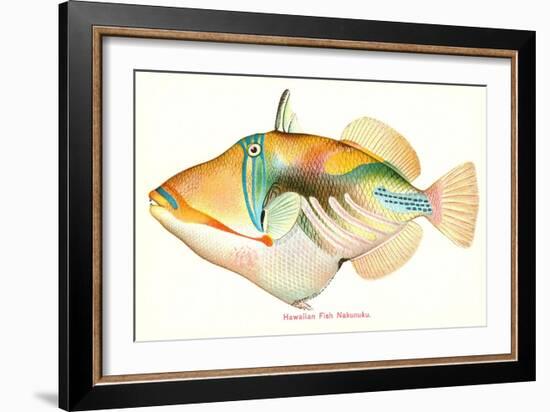 Hawaiian Fish, Nakunuku-null-Framed Art Print