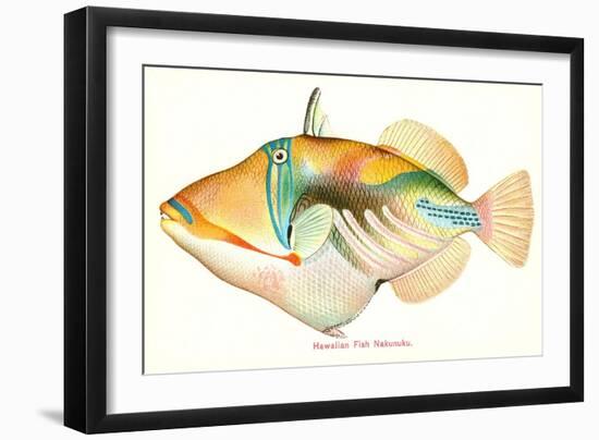 Hawaiian Fish, Nakunuku--Framed Art Print