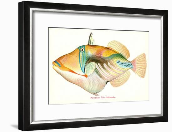 Hawaiian Fish, Nakunuku-null-Framed Art Print