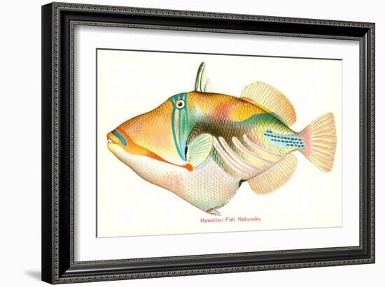 Hawaiian Fish, Nakunuku-null-Framed Art Print