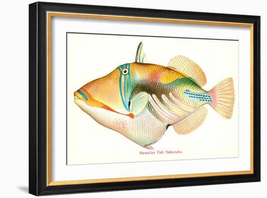 Hawaiian Fish, Nakunuku-null-Framed Art Print