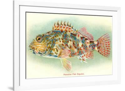 【希少】HAWAIIAN FISHESハワイの魚の画集　洋書 FISHES OF HAWAII - KIHIKIHI FISH Framed Art MINDTHEGAP Taupe