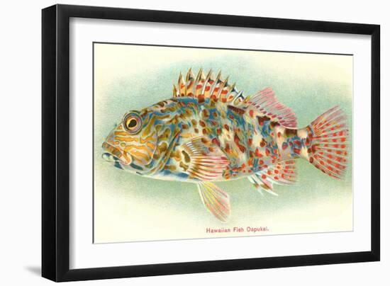 Hawaiian Fish, Oapukai-null-Framed Art Print
