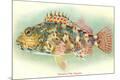 Premium Giclee Print