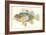 Hawaiian Fish, Pilikoa-null-Framed Art Print