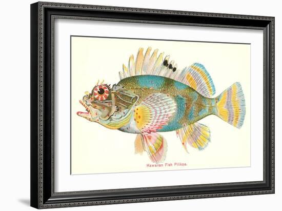 Hawaiian Fish, Pilikoa-null-Framed Art Print