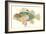 Hawaiian Fish, Pilikoa-null-Framed Art Print