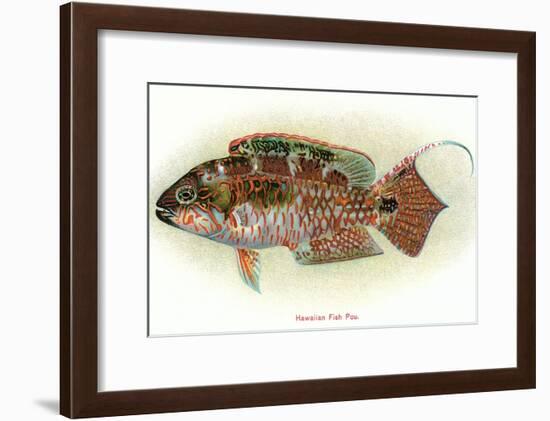 Hawaiian Fish, Pou-null-Framed Art Print