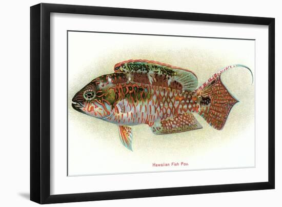 Hawaiian Fish, Pou-null-Framed Art Print