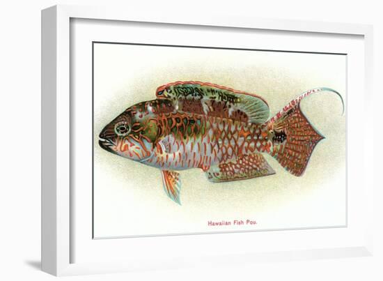 Hawaiian Fish, Pou-null-Framed Art Print