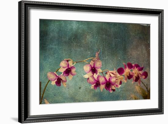 Hawaiian Orchid-pdb1-Framed Art Print