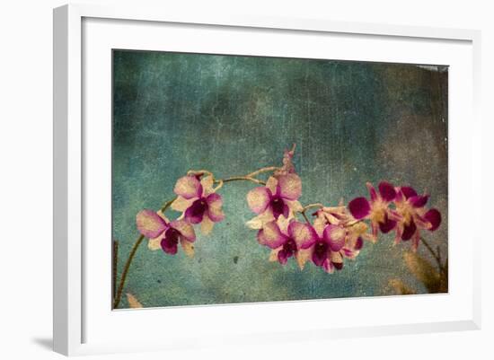 Hawaiian Orchid-pdb1-Framed Art Print