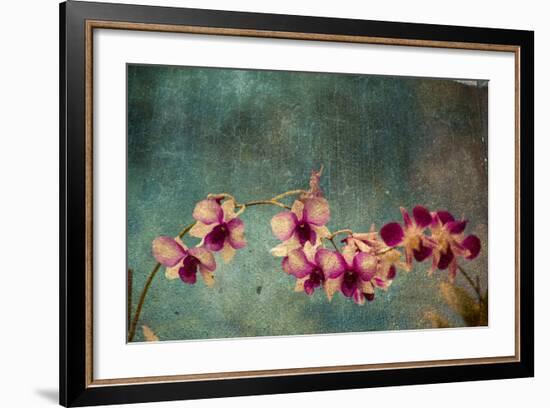 Hawaiian Orchid-pdb1-Framed Art Print