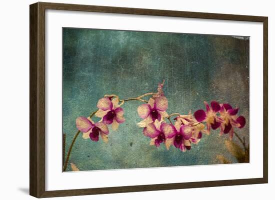 Hawaiian Orchid-pdb1-Framed Art Print