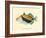 Hawaiian Reef Triggerfish - Humuhumunukunukuapua’a - Vintage Color Postcard, 1905-Pacifica Island Art-Framed Art Print