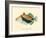 Hawaiian Reef Triggerfish - Humuhumunukunukuapua’a - Vintage Color Postcard, 1905-Pacifica Island Art-Framed Art Print