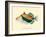 Hawaiian Reef Triggerfish - Humuhumunukunukuapua’a - Vintage Color Postcard, 1905-Pacifica Island Art-Framed Art Print