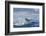 Hawaiian Spinner Dolphin (Stenella Longirostris)-Michael Nolan-Framed Photographic Print