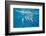 Hawaiian Spinner Dolphins (Stenella Longirostris)-Michael Nolan-Framed Photographic Print