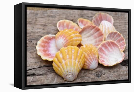 Hawaiian sunrise shells-Savanah Plank-Framed Premier Image Canvas