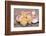 Hawaiian sunrise shells-Savanah Plank-Framed Photographic Print