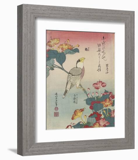 Hawfinch and Marvel-of-Peru-Katsushika Hokusai-Framed Art Print