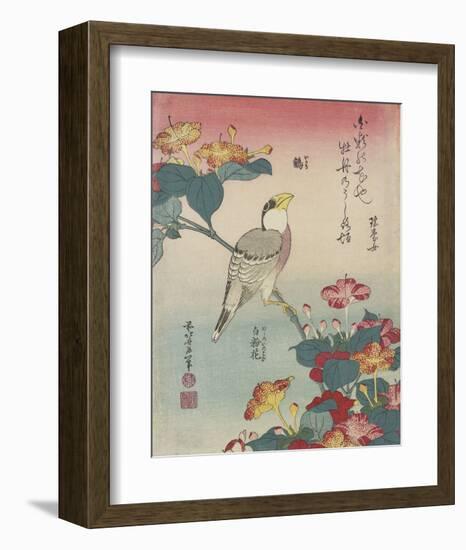 Hawfinch and Marvel-of-Peru-Katsushika Hokusai-Framed Art Print